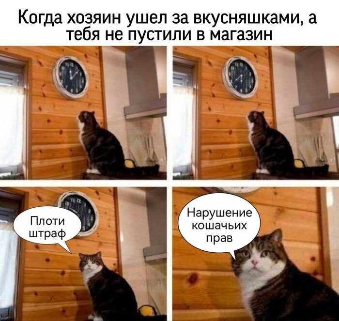Как отказать клиенту в обслуживании по закону: причины и тонкости