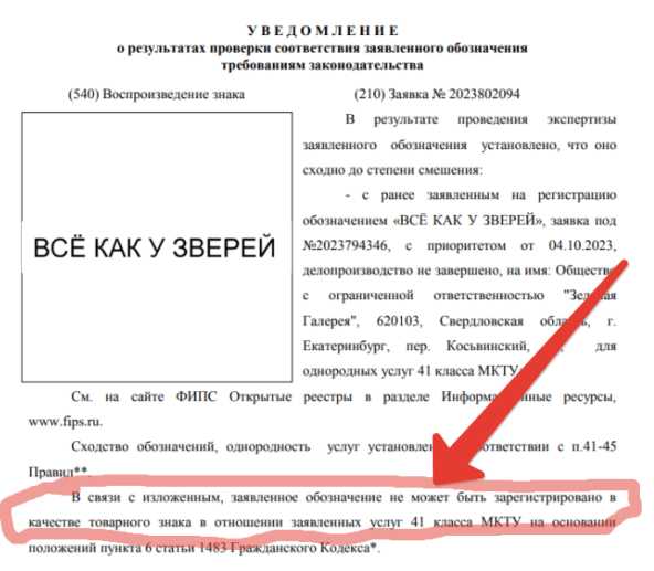 «Зверские» разборки: что делать, когда твой бренд пытаются присвоить чужие люди