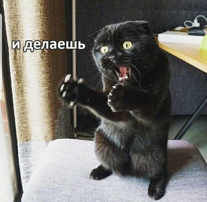 Как я автосервис поднимал с колен. Последние события