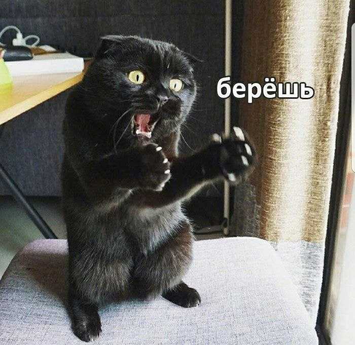 Как я автосервис поднимал с колен. Последние события