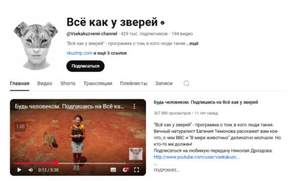 «Зверские» разборки: что делать, когда твой бренд пытаются присвоить чужие люди