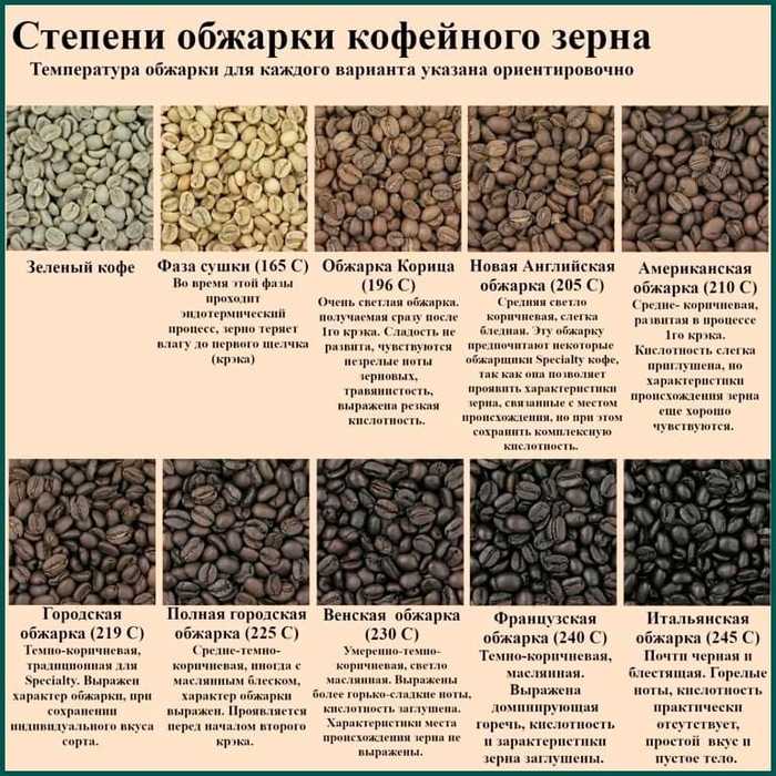 Как растёт кофе во Вьетнаме и почему “вьетнамская арабика” — почти миф