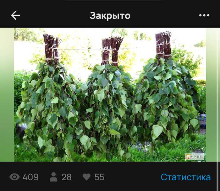Как я организовал вязку березовых веников в 16 лет и на этом заработал