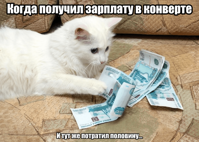 5 способов привлечь внимание налоговой: схемы, от которых бизнесу давно пора отказаться