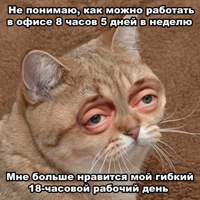 Ответ на пост «Самозанятые есть? Вам приготовиться!» - 24.09.25 11:51
