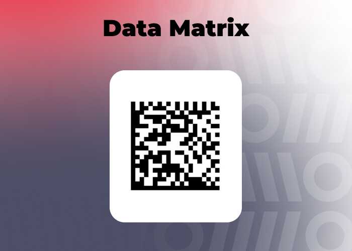 Штрихкод, QR или Data Matrix: учимся разбираться в кодах - 05.02.25 14:00