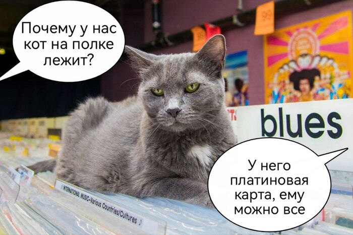 Как увеличить выручку с помощью программы лояльности: инструкция для предпринимателей - 28.10.25 15:24