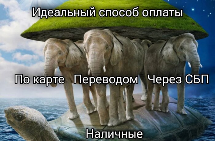 Картой, наличными или QR-кодом: как предпринимателю выгоднее принимать оплату - 30.10.25 13:21