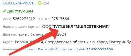 ООО «Бнал», ООО «Тъебись» и ООО «ЧКО»: ТОП самых забавных названий российских ОООшек - 03.10.25 11:43