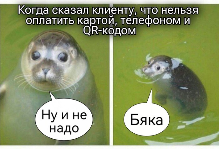 Картой, наличными или QR-кодом: как предпринимателю выгоднее принимать оплату - 30.10.25 13:21