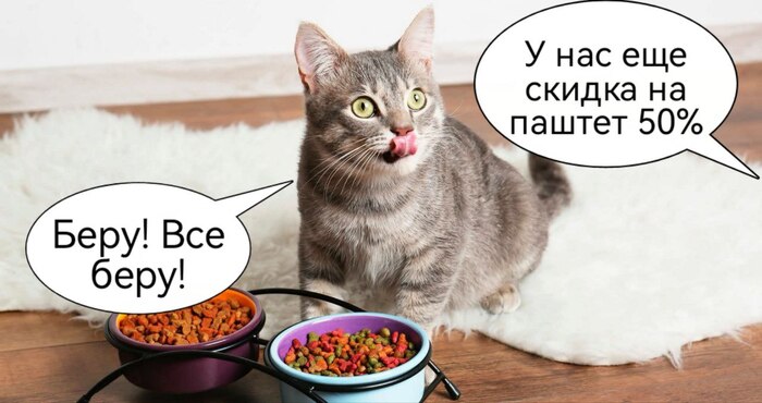 Как увеличить выручку с помощью программы лояльности: инструкция для предпринимателей - 28.10.25 15:24