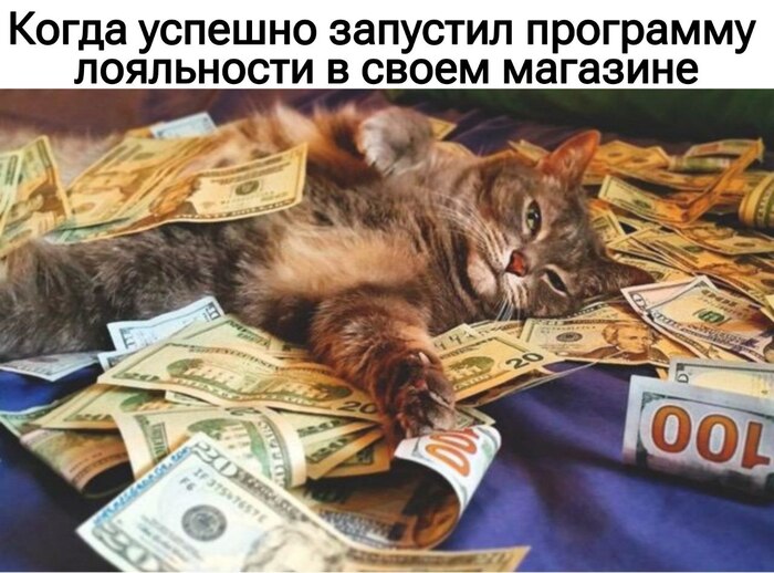 Как увеличить выручку с помощью программы лояльности: инструкция для предпринимателей - 28.10.25 15:24